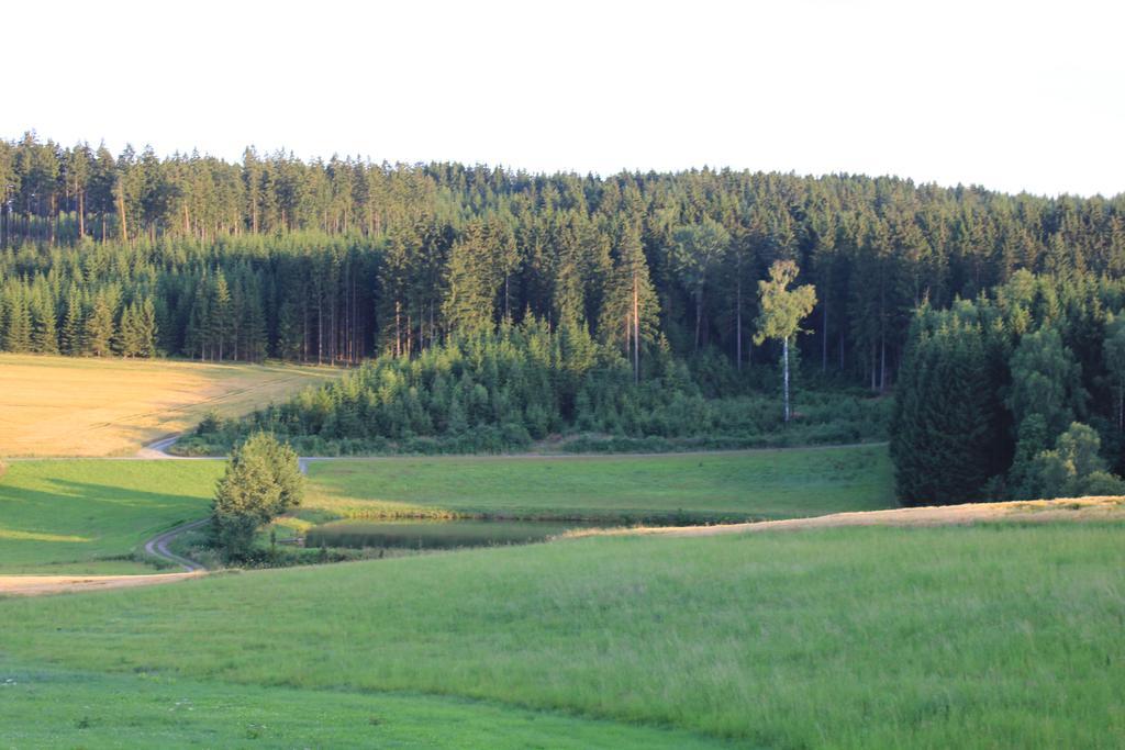 Landgasthof Haueis Marktleugast Kültér fotó